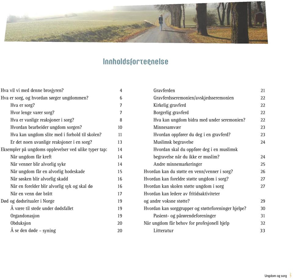 13 Eksempler på ungdoms opplevelser ved ulike typer tap: 14 Når ungdom får kreft 14 Når venner blir alvorlig syke 14 Når ungdom får en alvorlig hodeskade 15 Når søsken blir alvorlig skadd 16 Når en