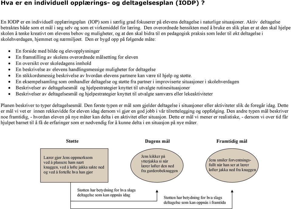 Den overordnede hensikten med å bruke en slik plan er at den skal hjelpe skolen å tenke kreativt om elevens behov og muligheter, og at den skal bidra til en pedagogisk praksis som leder til økt