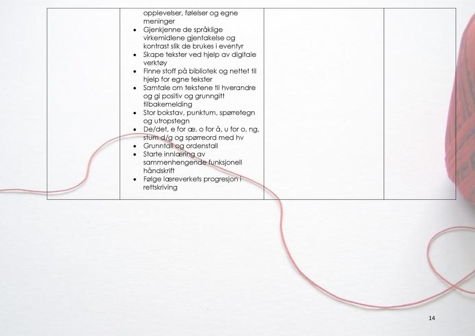 gi positiv og grunngitt tilbakemelding Stor bokstav, punktum, spørretegn og utropstegn De/det, e for æ, o for å, u for o, ng, stum d/g og