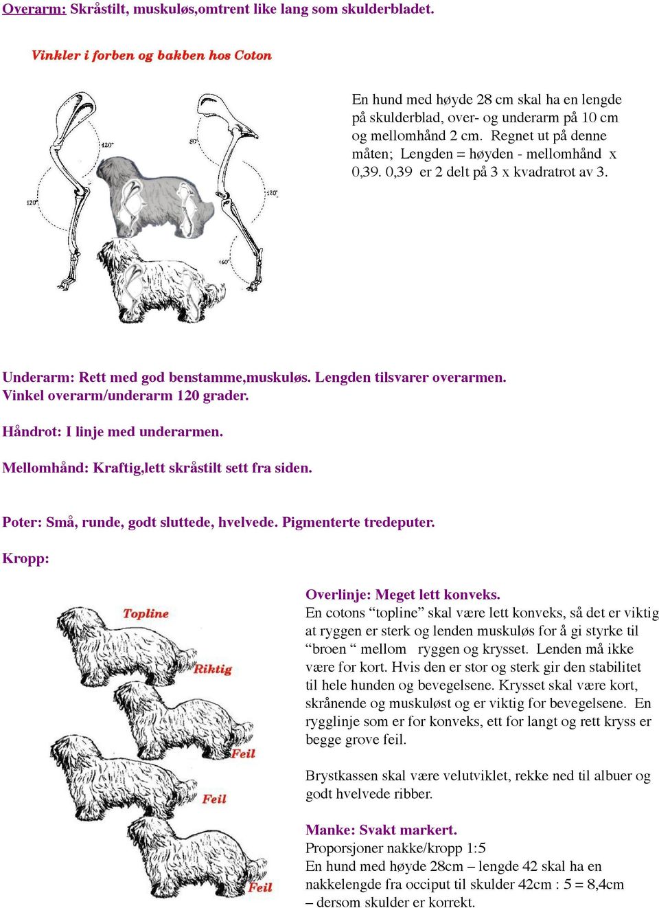 Vinkel overarm/underarm 120 grader. Håndrot: I linje med underarmen. Mellomhånd: Kraftig,lett skråstilt sett fra siden. Poter: Små, runde, godt sluttede, hvelvede. Pigmenterte tredeputer.