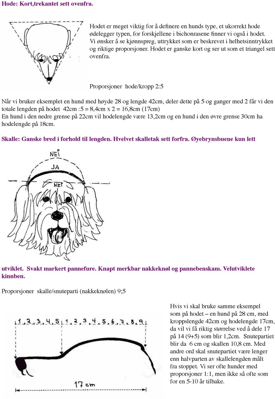 Proporsjoner hode/kropp 2:5 Når vi bruker eksemplet en hund med høyde 28 og lengde 42cm, deler dette på 5 og ganger med 2 får vi den totale lengden på hodet 42cm :5 = 8,4cm x 2 = 16,8cm (17cm) En