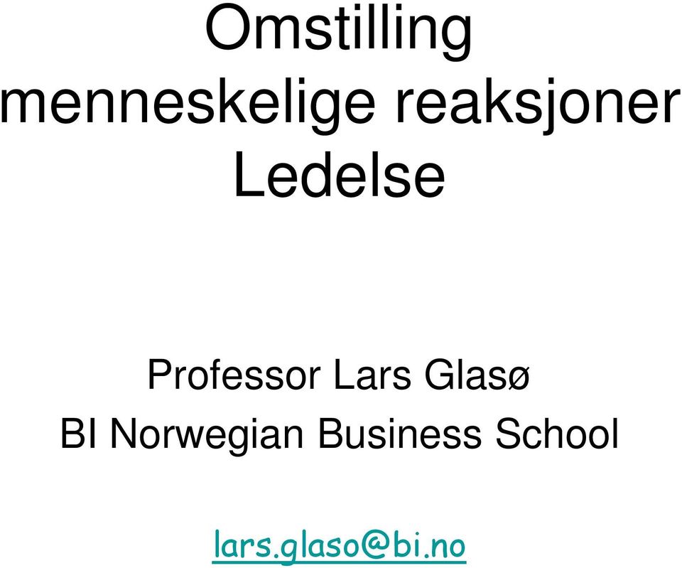 Professor Lars Glasø BI