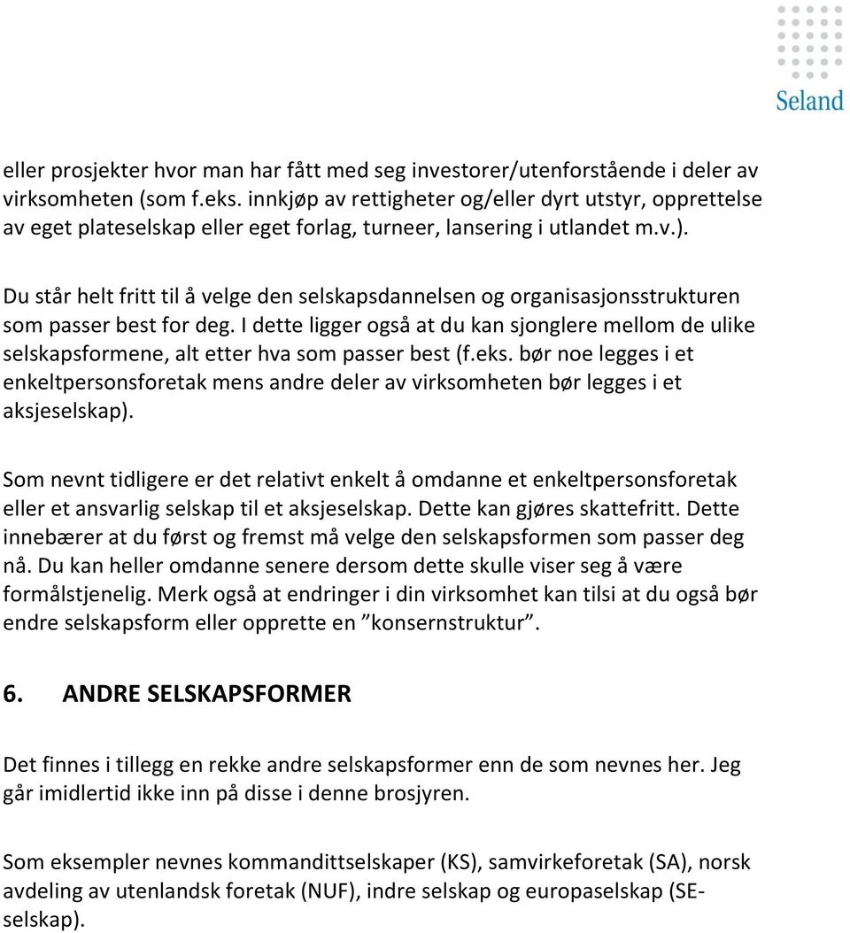 Du står helt fritt til å velge den selskapsdannelsen og organisasjonsstrukturen som passer best for deg.