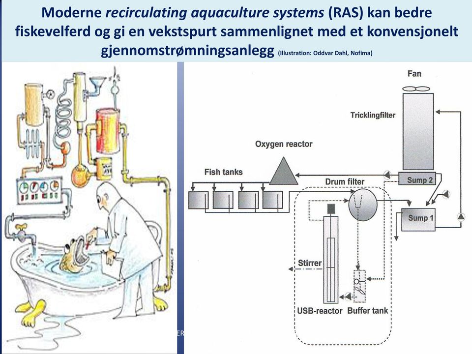 vekstspurt sammenlignet med et konvensjonelt