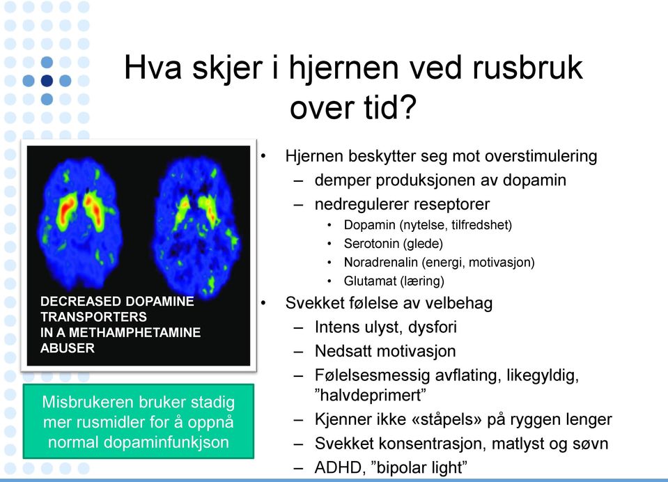 beskytter seg mot overstimulering demper produksjonen av dopamin nedregulerer reseptorer Dopamin (nytelse, tilfredshet) Serotonin (glede)