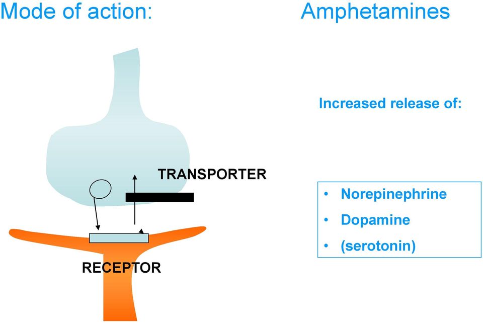 release of: RECEPTOR