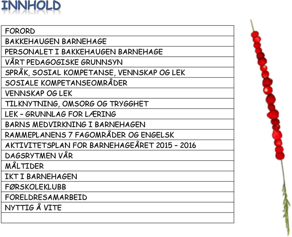 GRUNNLAG FOR LÆRING BARNS MEDVIRKNING I BARNEHAGEN RAMMEPLANENS 7 FAGOMRÅDER OG ENGELSK AKTIVITETSPLAN FOR