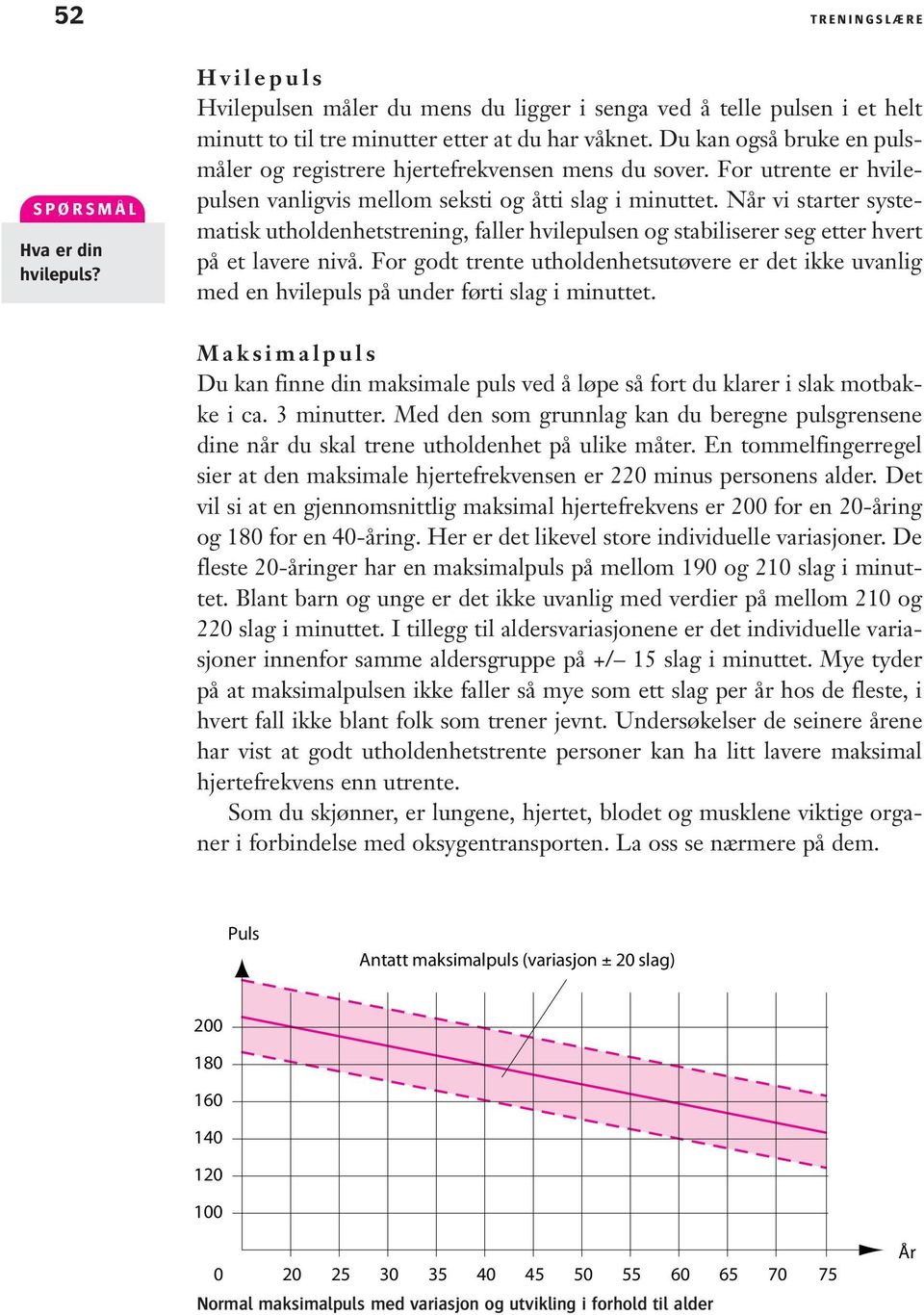 Når vi starter systematisk utholdenhetstrening, faller hvilepulsen og stabiliserer seg etter hvert på et lavere nivå.