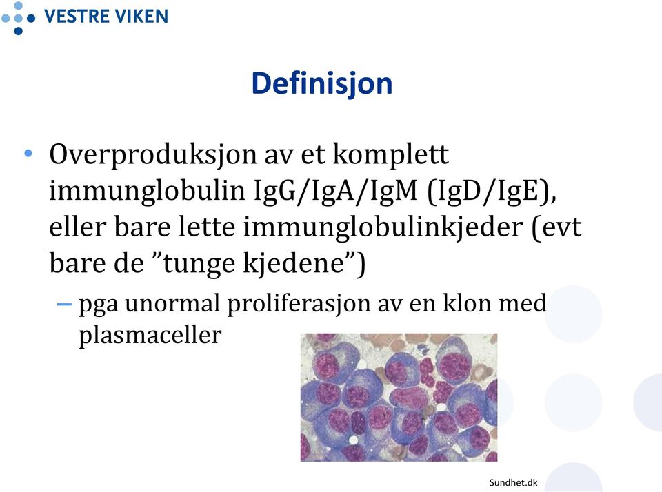 lette immunglobulinkjeder (evt bare de tunge