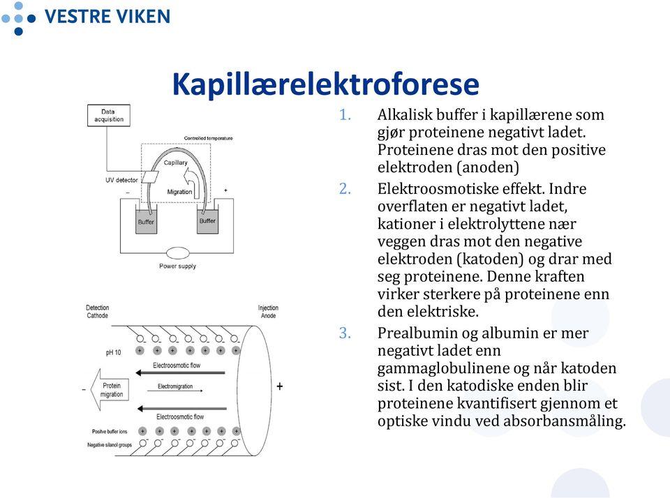 Indre overflaten er negativt ladet, kationer i elektrolyttene nær veggen dras mot den negative elektroden (katoden) og drar med seg