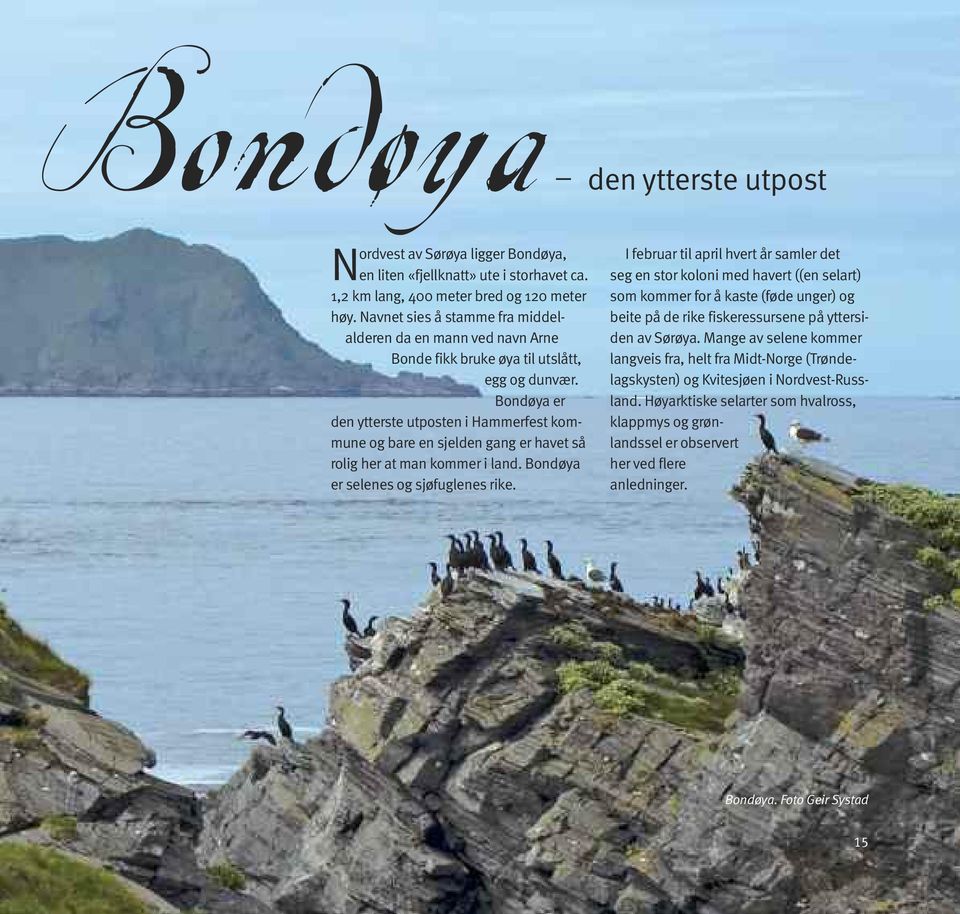 Bondøya er den ytterste ut posten i Hammerfest kommune og bare en sjelden gang er havet så rolig her at man kommer i land. Bondøya er selenes og sjøfuglenes rike.