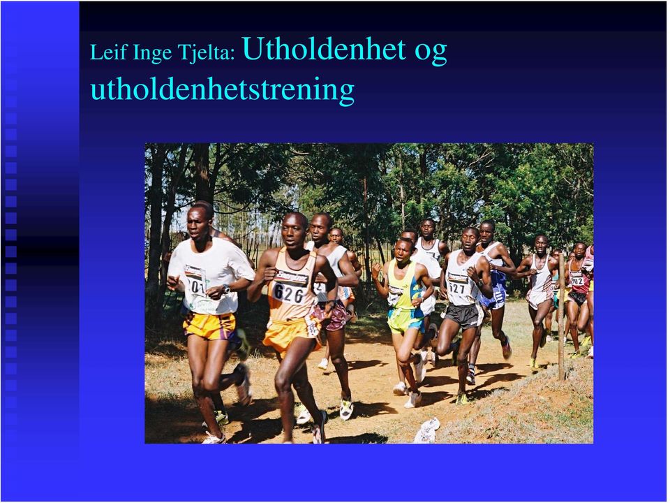 Utholdenhet