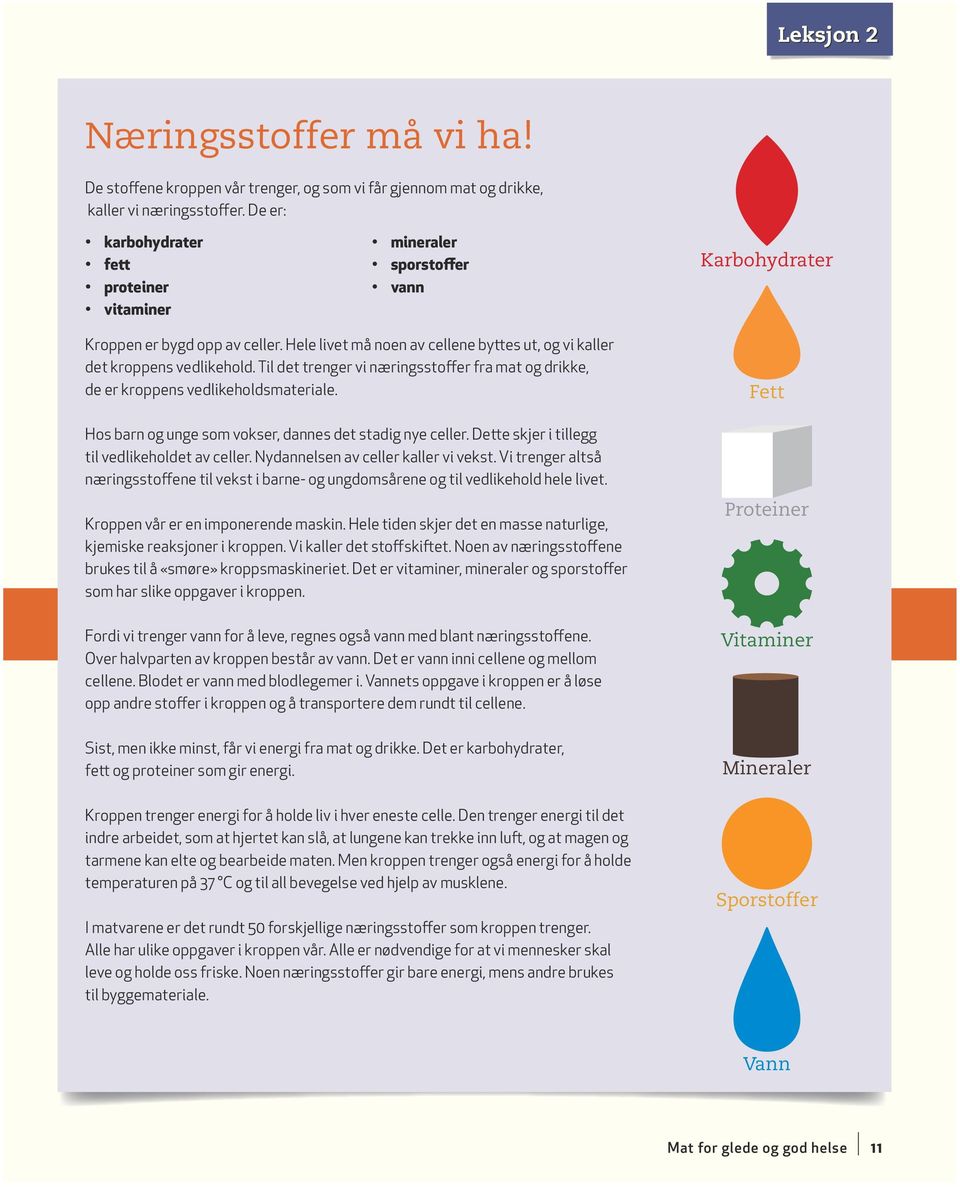 Til det trenger vi næringsstoffer fra mat og drikke, de er kroppens vedlikeholdsmateriale. Hos barn og unge som vokser, dannes det stadig nye celler. Dette skjer i tillegg til vedlikeholdet av celler.