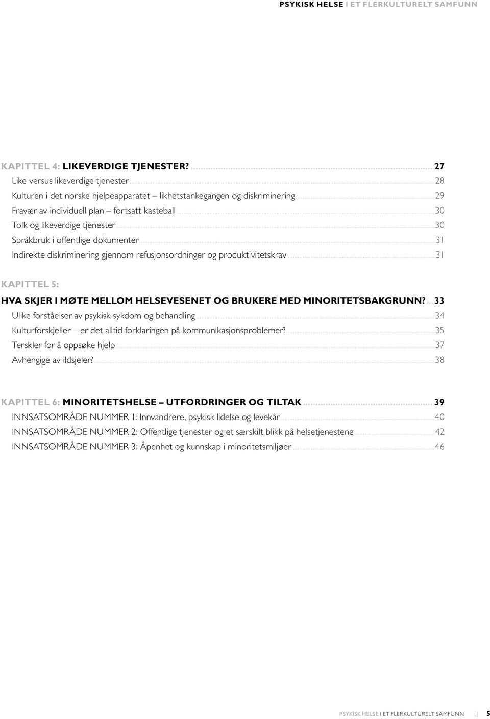 ..31 Indirekte diskriminering gjennom refusjonsordninger og produktivitetskrav...31 KAPITTEL 5: HVA SKJER I MØTE MELLOM HELSEVESENET OG BRUKERE MED MINORITETSBAKGRUNN?