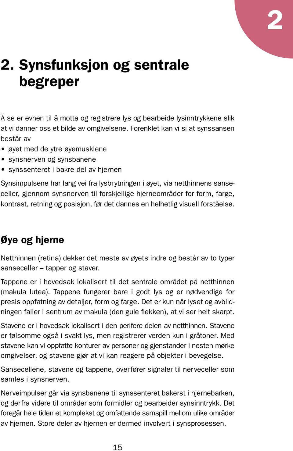 netthinnens sanseceller, gjennom synsnerven til forskjellige hjerneområder for form, farge, kontrast, retning og posisjon, før det dannes en helhetlig visuell forståelse.