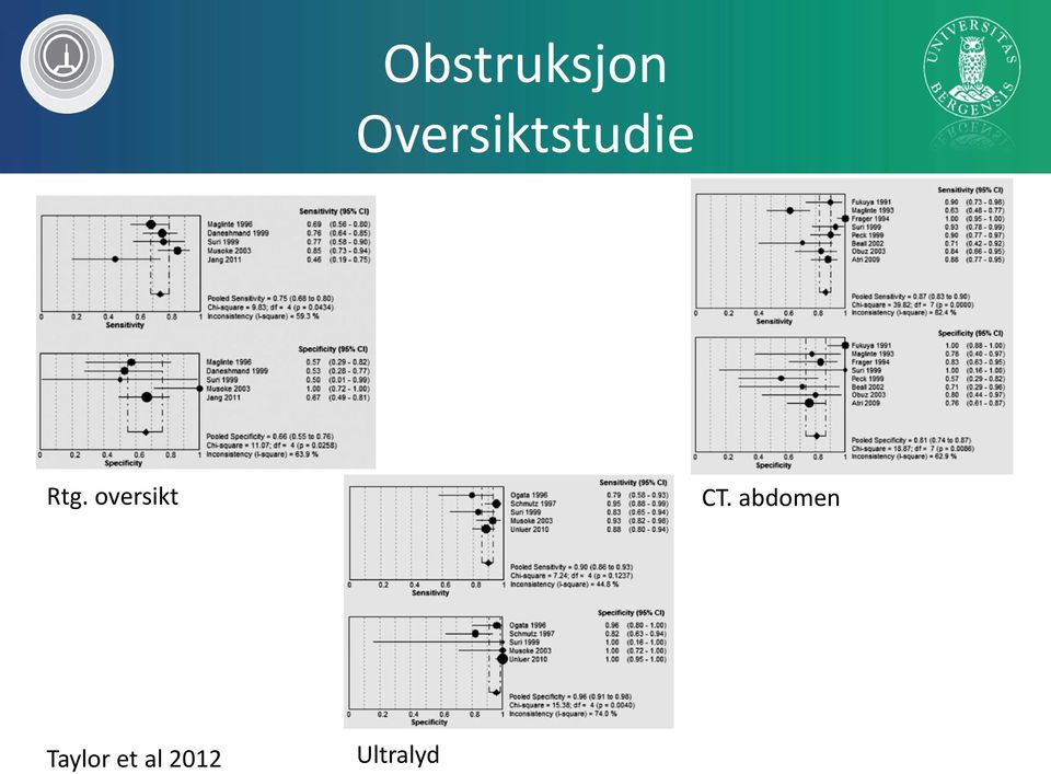 oversikt CT.