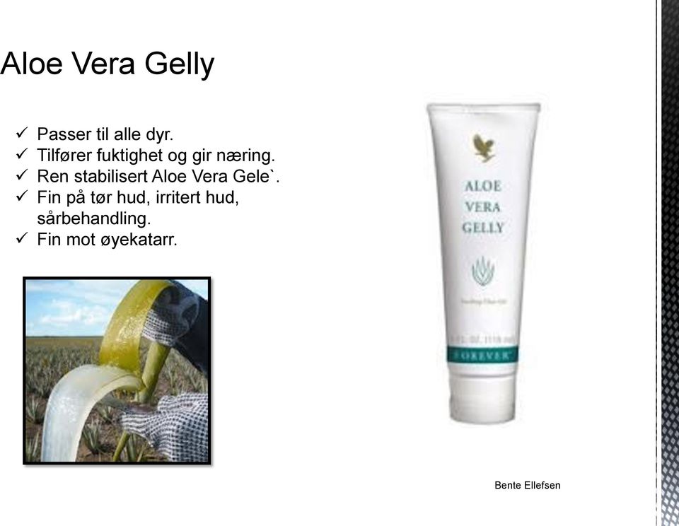 Ren stabilisert Aloe Vera Gele`.