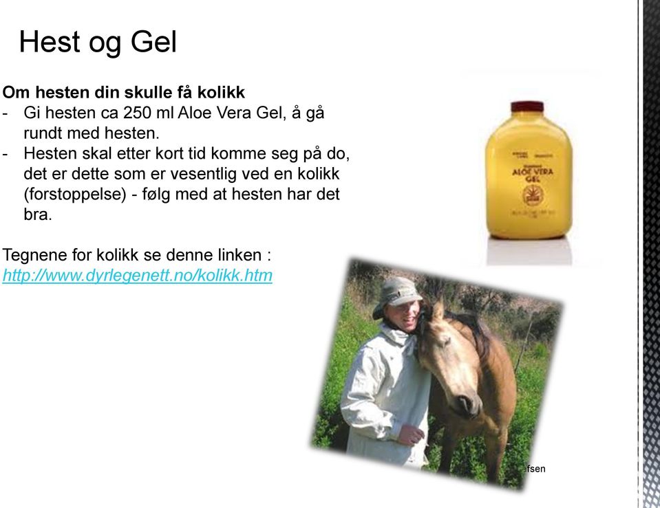 - Hesten skal etter kort tid komme seg på do, det er dette som er vesentlig