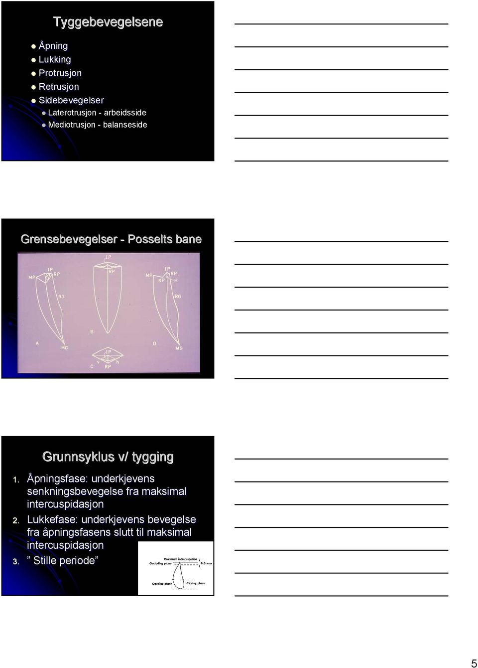 tygging 1. Åpningsfase: underkjevens senkningsbevegelse fra maksimal intercuspidasjon 2.
