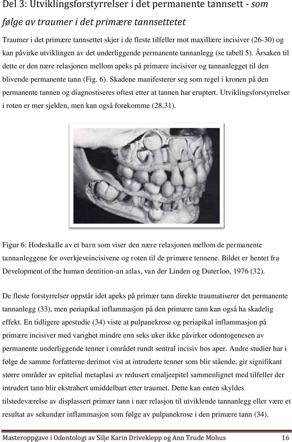 Årsaken til dette er den nære relasjonen mellom apeks på primære incisiver og tannanlegget til den blivende permanente tann (Fig. 6).