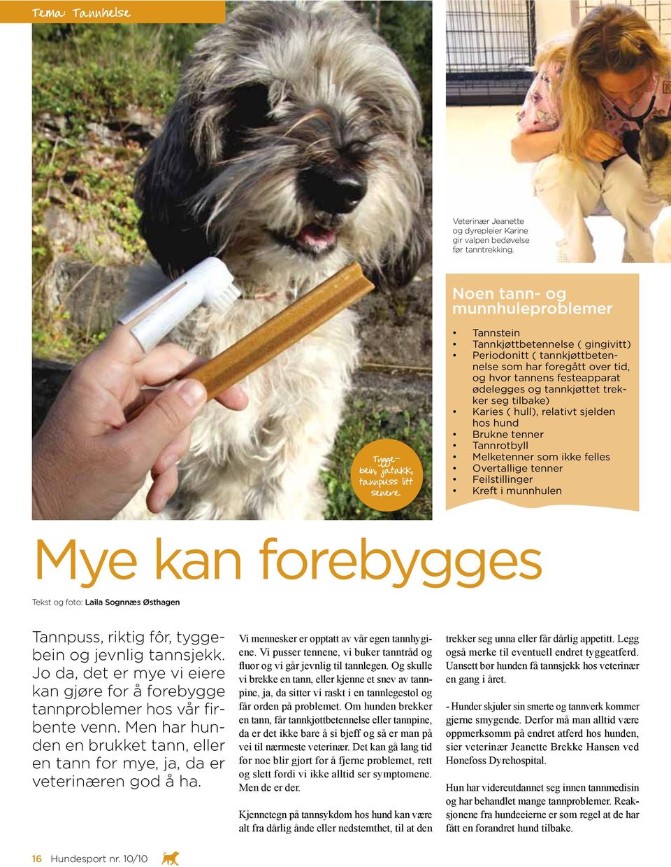 relativt sjelden hos hund Brukne tenner Tannrotbyll Melketenner som ikke felles Overtallige tenner Feilstillinger Kreft i munnhulen Mye kan forebygges Tekst og foto: Laila Sognnæs Østhagen Tannpuss,