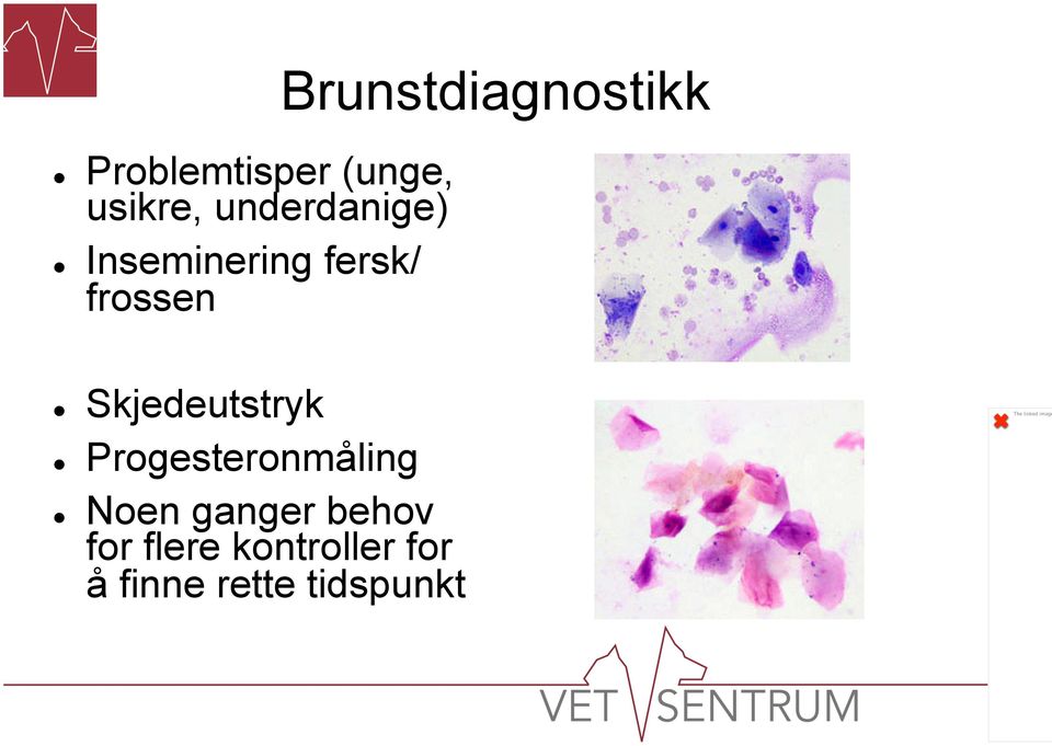 Skjedeutstryk Progesteronmåling Noen ganger behov