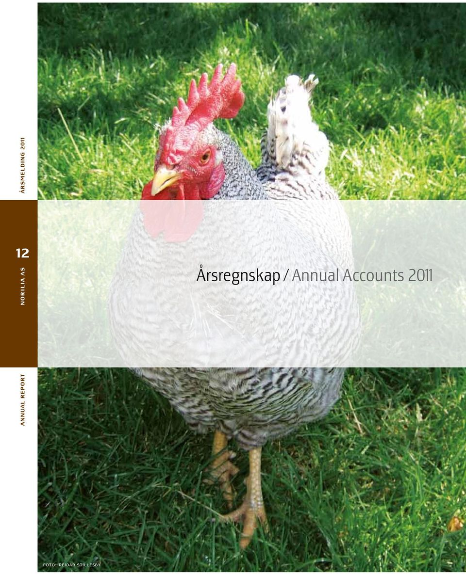 Accounts 2011