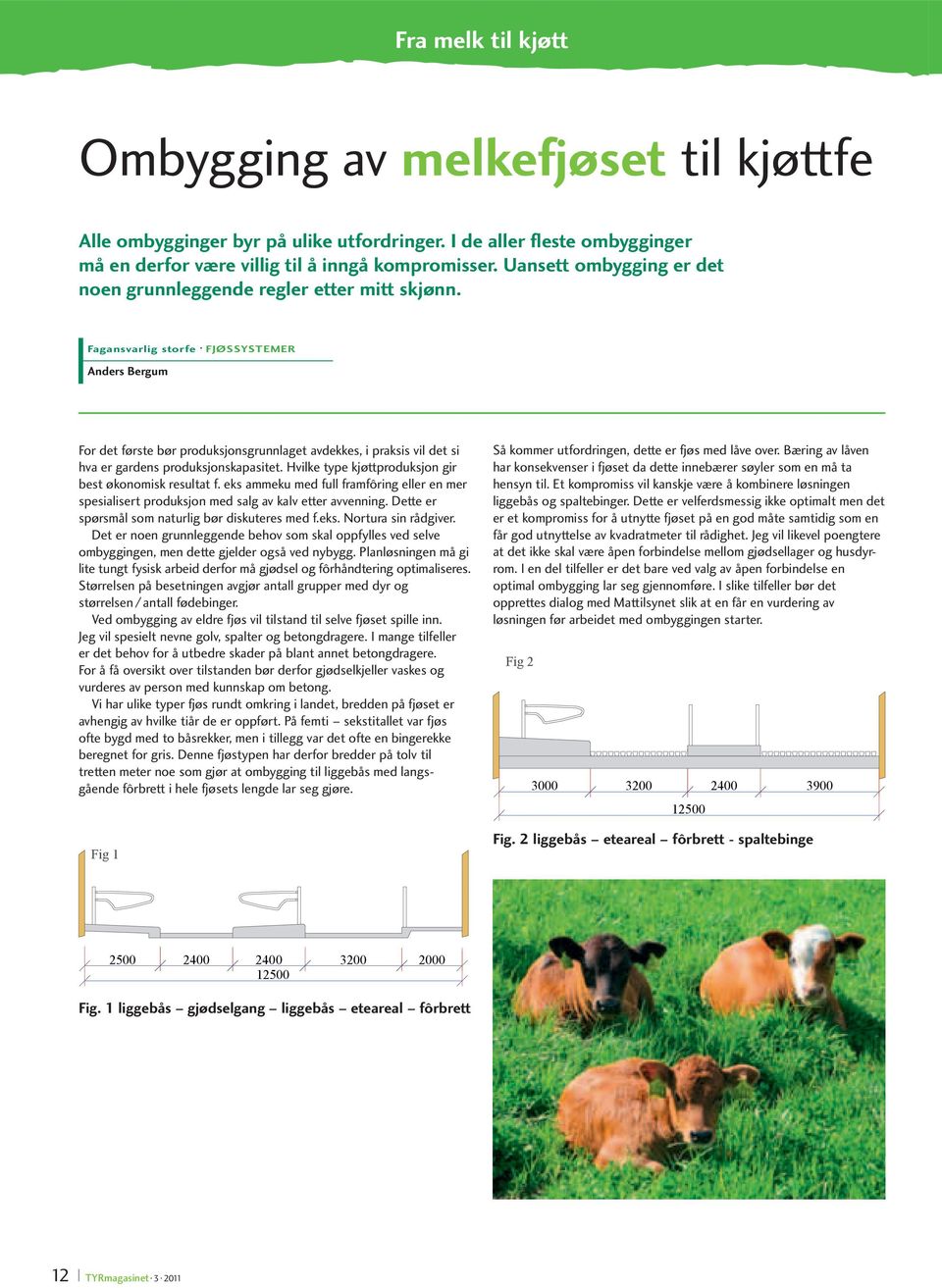 Fagansvarlig storfe FJØSSYSTEMER Anders Bergum For det første bør produksjonsgrunnlaget avdekkes, i praksis vil det si hva er gardens produksjonskapasitet.