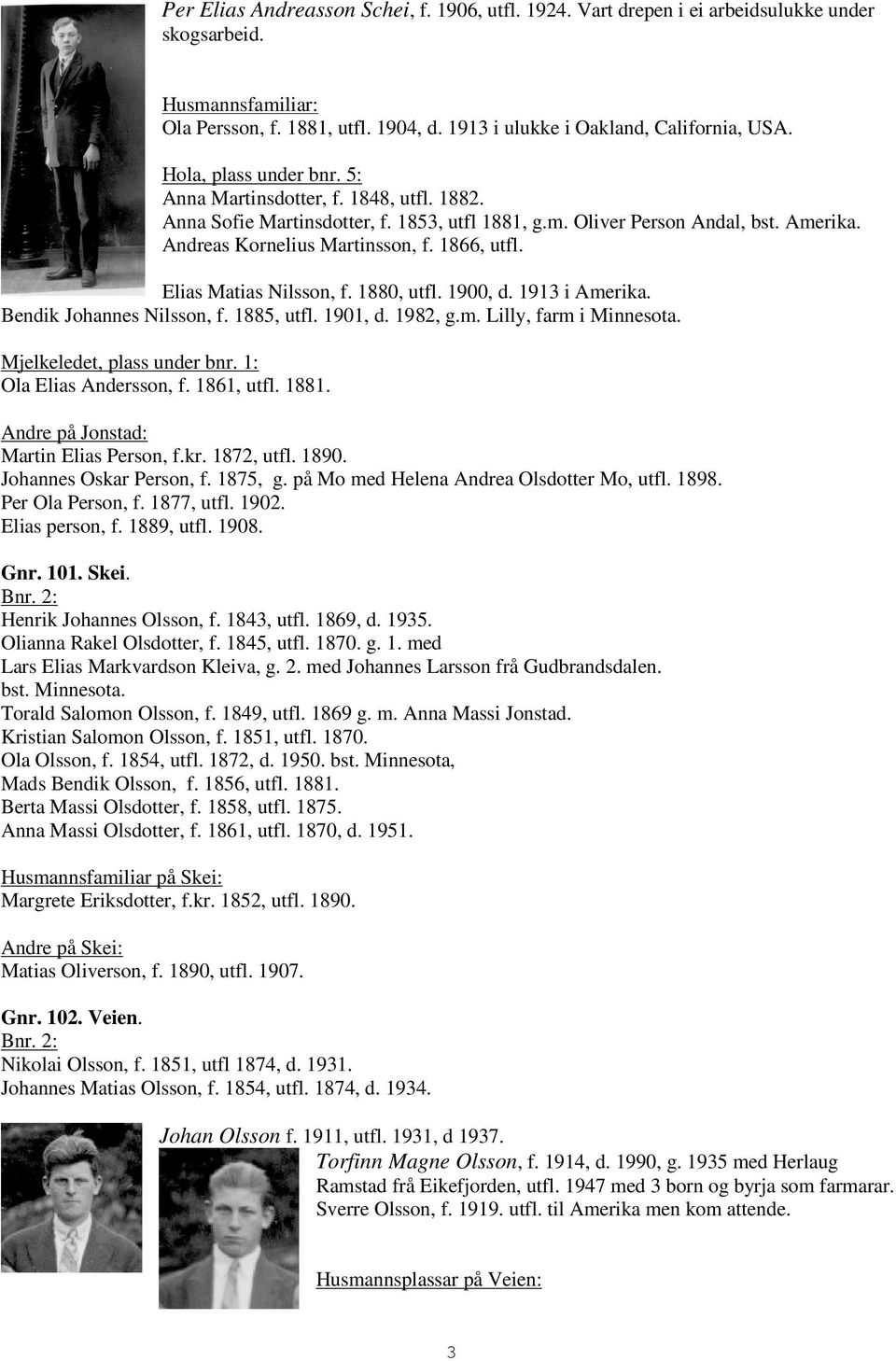 Elias Matias Nilsson, f. 1880, utfl. 1900, d. 1913 i Amerika. Bendik Johannes Nilsson, f. 1885, utfl. 1901, d. 1982, g.m. Lilly, farm i Minnesota. Mjelkeledet, plass under bnr.