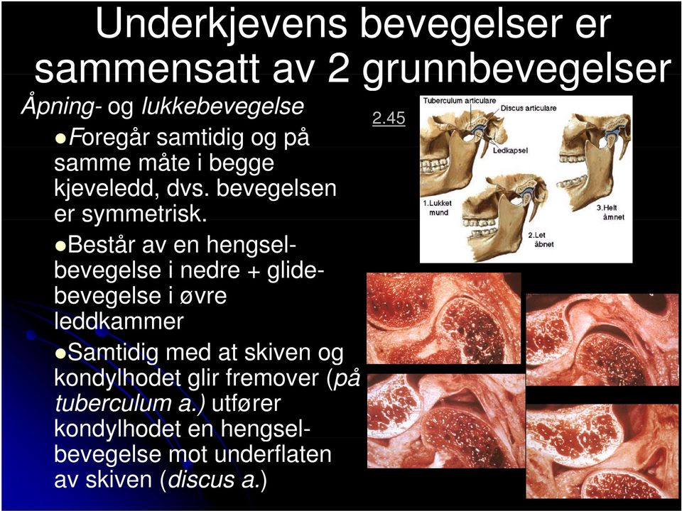 Består av en hengselbevegelse i nedre + glide- bevegelse i øvre leddkammer Samtidig med at skiven