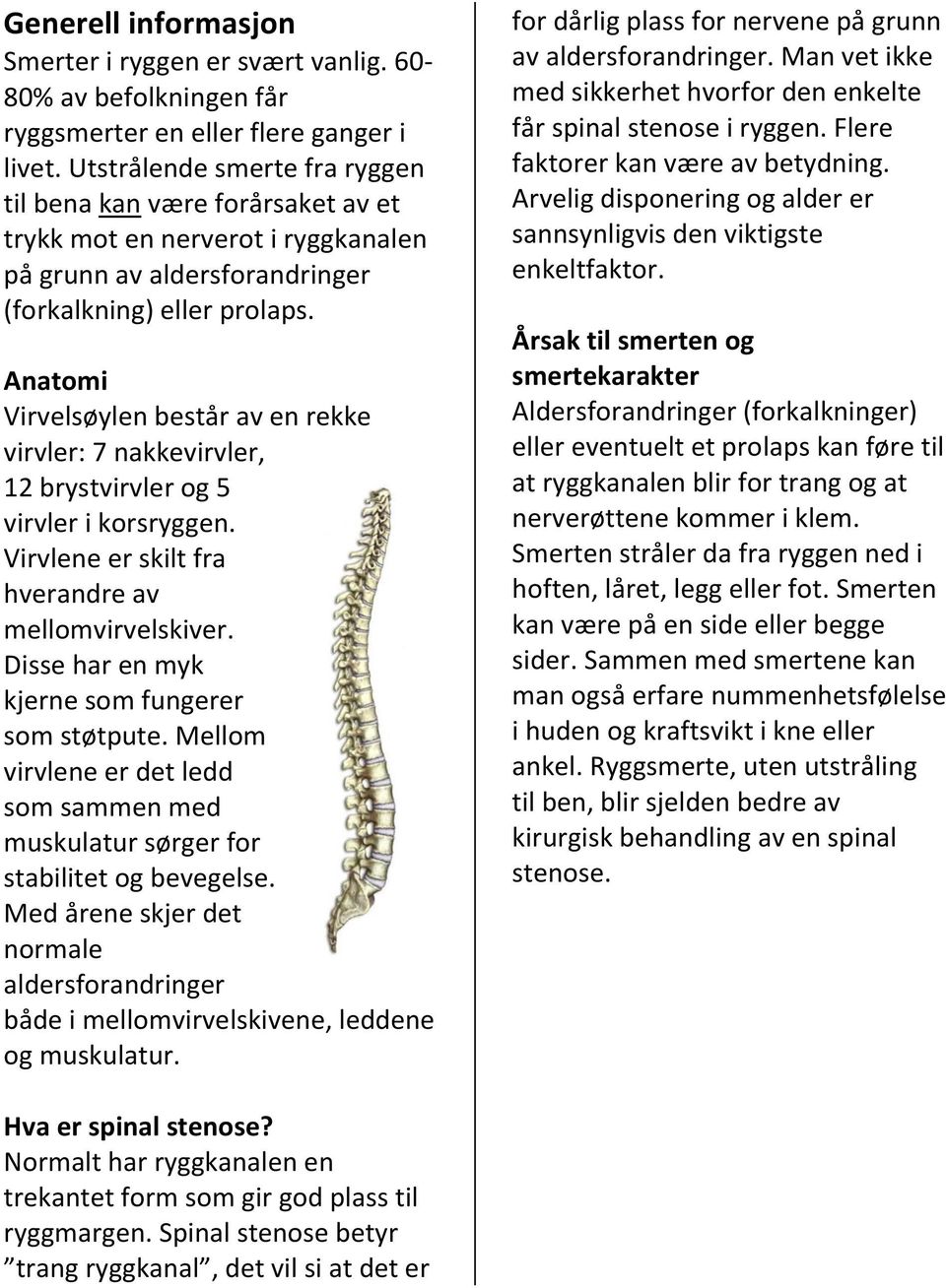 Anatomi Virvelsøylen består av en rekke virvler: 7 nakkevirvler, 12 brystvirvler og 5 virvler i korsryggen. Virvlene er skilt fra hverandre av mellomvirvelskiver.