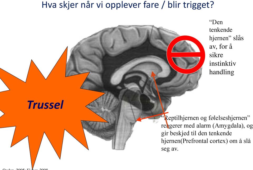 Trussel Reptilhjernen og følelseshjernen reagerer med alarm