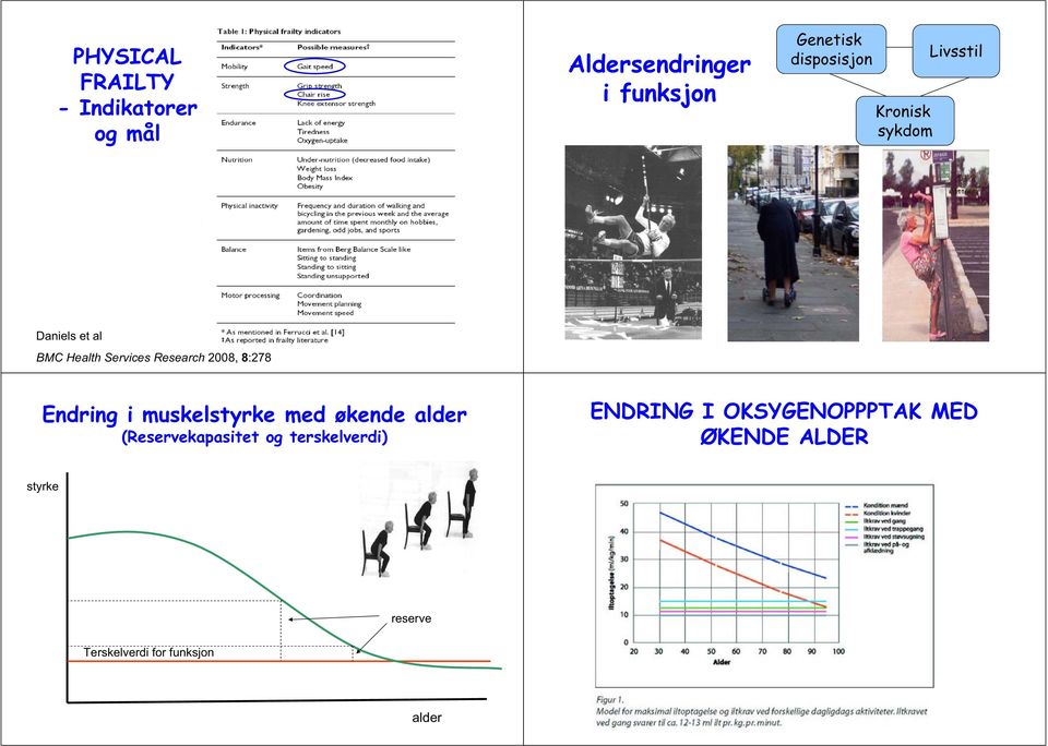 2008, 8:278 Endring i muskelstyrke med økende alder (Reservekapasitet og