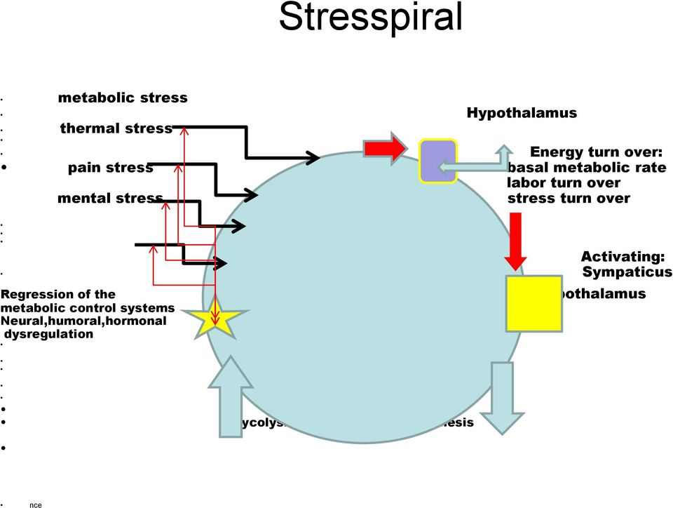 Sympaticus Regression of the metabolic control systems Neural,humoral,hormonal dysregulation