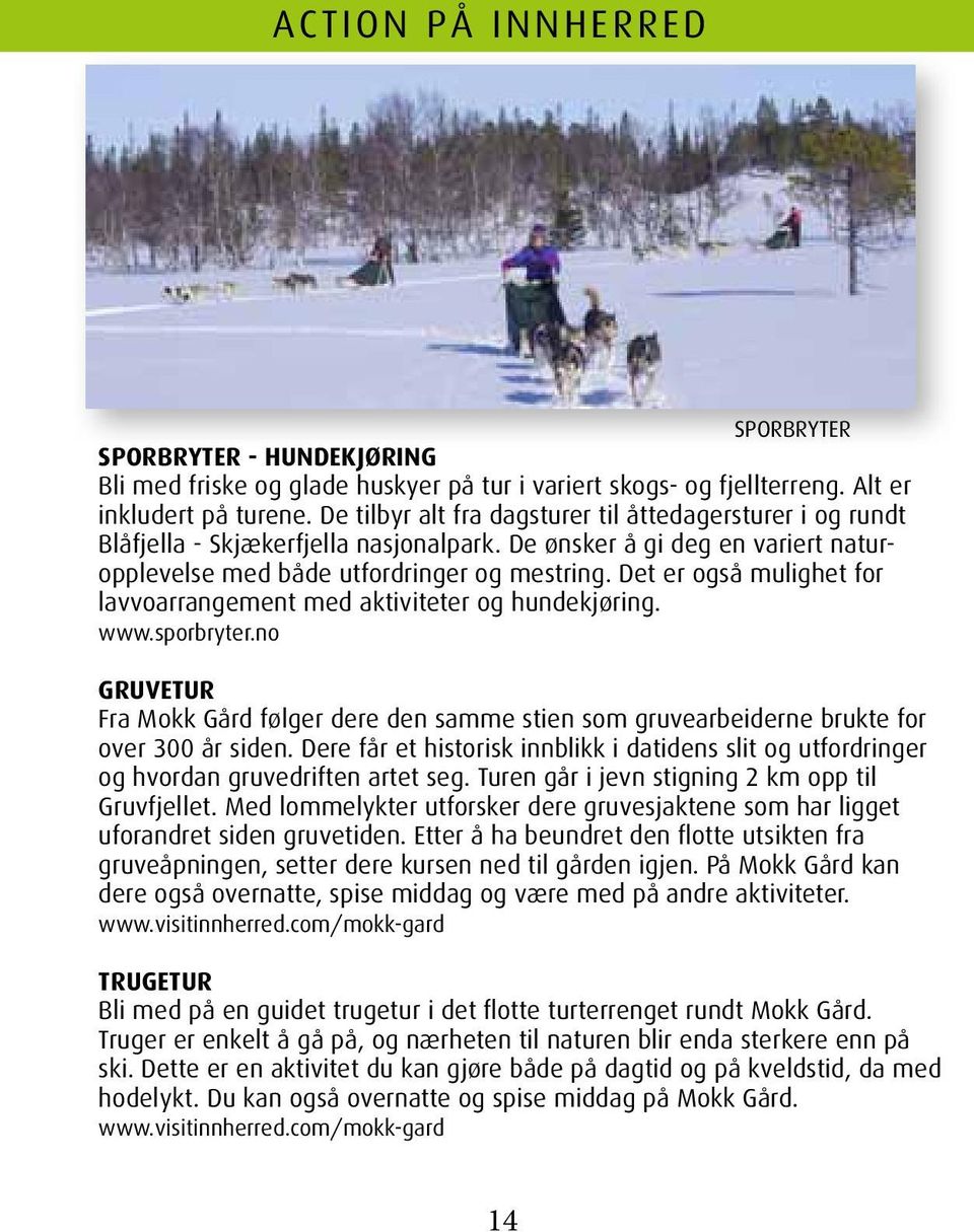 Det er også mulighet for lavvoarrangement med aktiviteter og hundekjøring. www.sporbryter.no GRUVETUR Fra Mokk Gård følger dere den samme stien som gruvearbeiderne brukte for over 300 år siden.