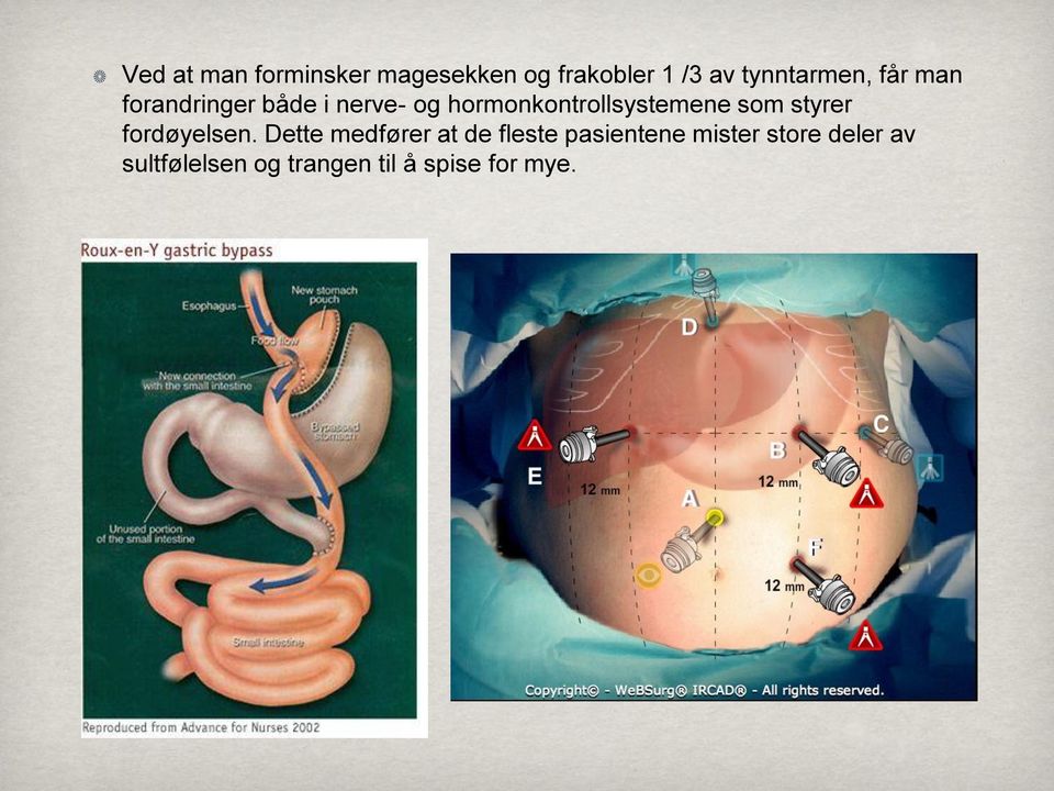 hormonkontrollsystemene som styrer fordøyelsen.