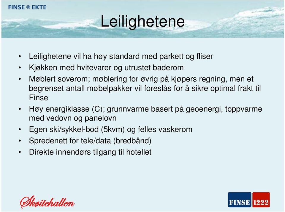 optimal frakt til Finse Høy energiklasse (C); grunnvarme basert på geoenergi, toppvarme med vedovn og panelovn