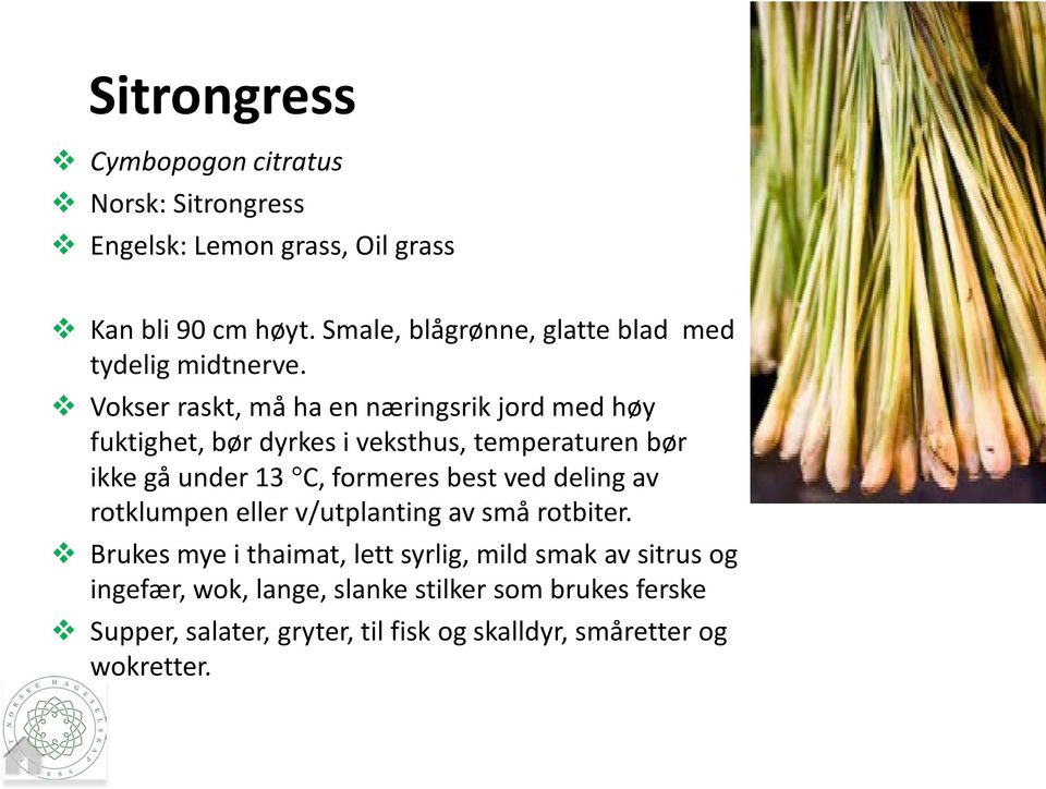 Vokser raskt, må ha en næringsrik jord med høy fuktighet, bør dyrkes i veksthus, temperaturen bør ikke gå under 13 C, formeres best