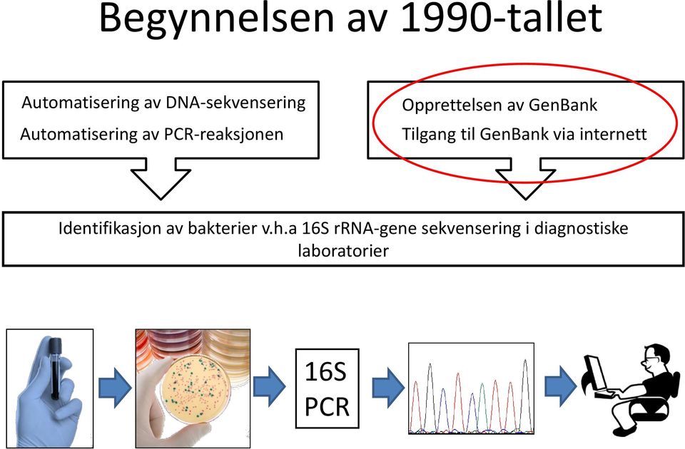 Tilgang til GenBank via internett Identifikasjon av bakterier