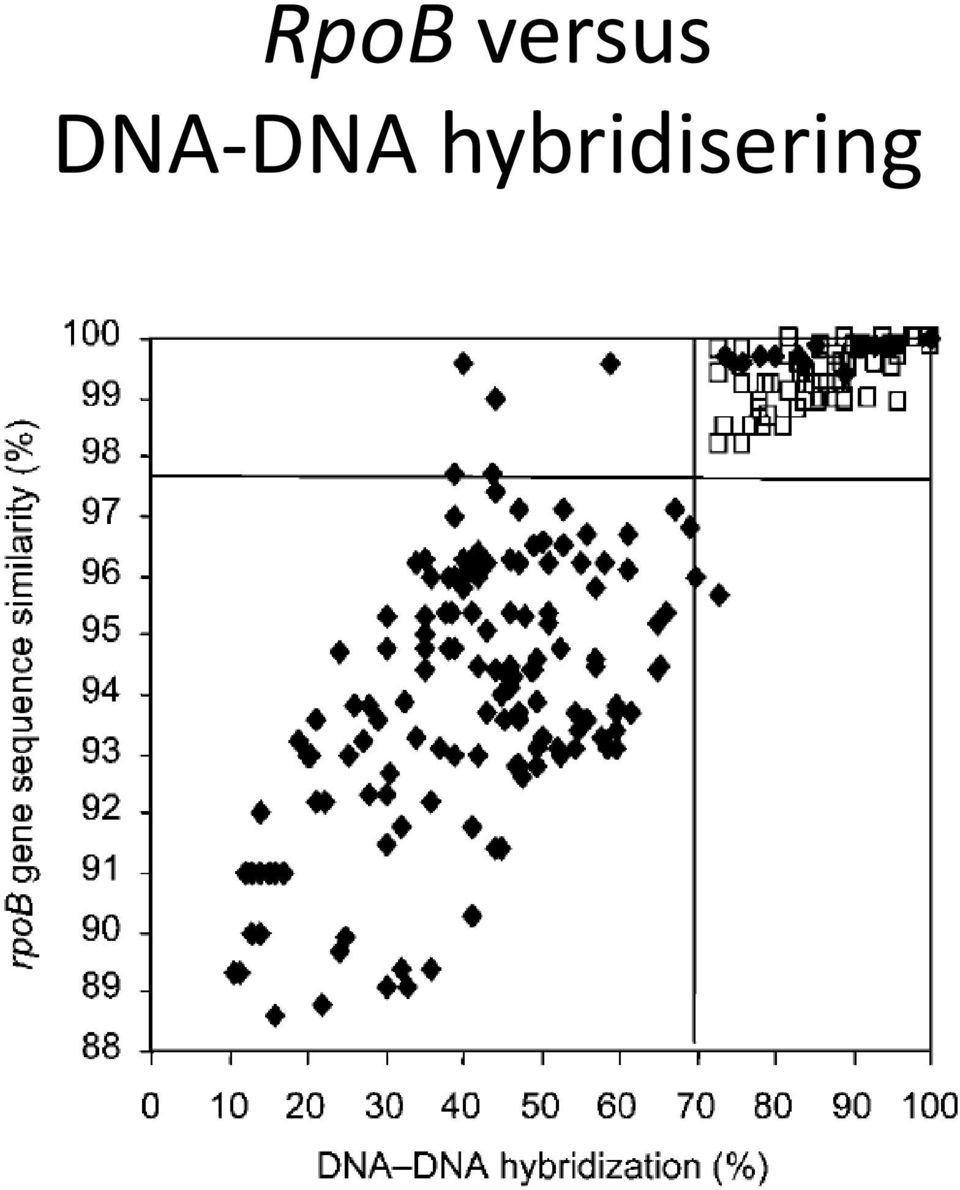 DNA-DNA