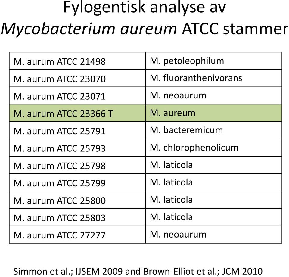 aurum ATCC 25793 M. chlorophenolicum M. aurum ATCC 25798 M. laticola M. aurum ATCC 25799 M. laticola M. aurum ATCC 25800 M.