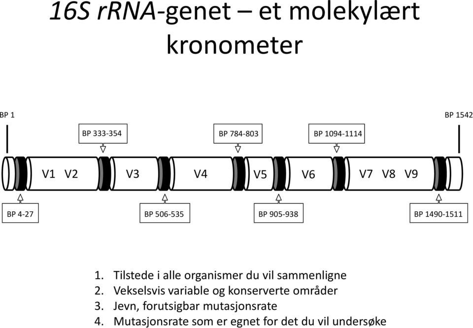 Tilstede i alle organismer du vil sammenligne 2.