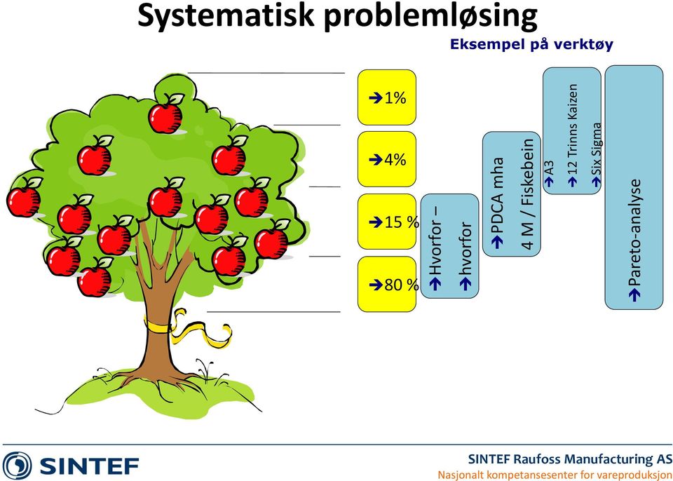 Trinns Kaizen Six Sigma Systematisk