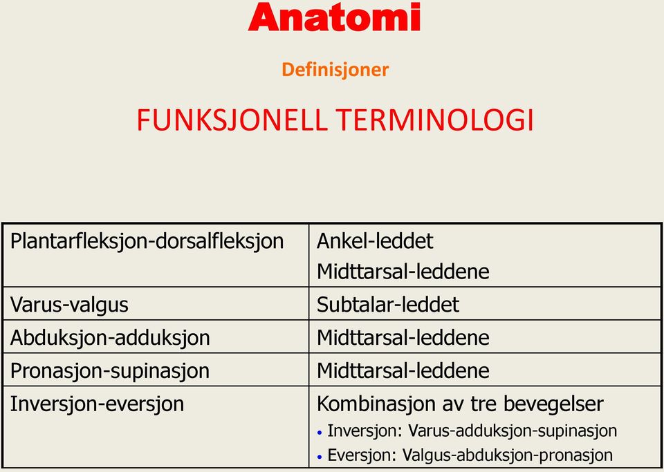 Ankel-leddet Midttarsal-leddene Subtalar-leddet Midttarsal-leddene