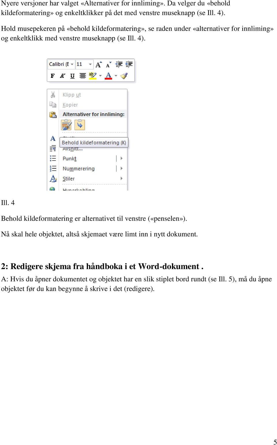 4). Ill. 4 Behold kildeformatering er alternativet til venstre («penselen»). Nå skal hele objektet, altså skjemaet være limt inn i nytt dokument.