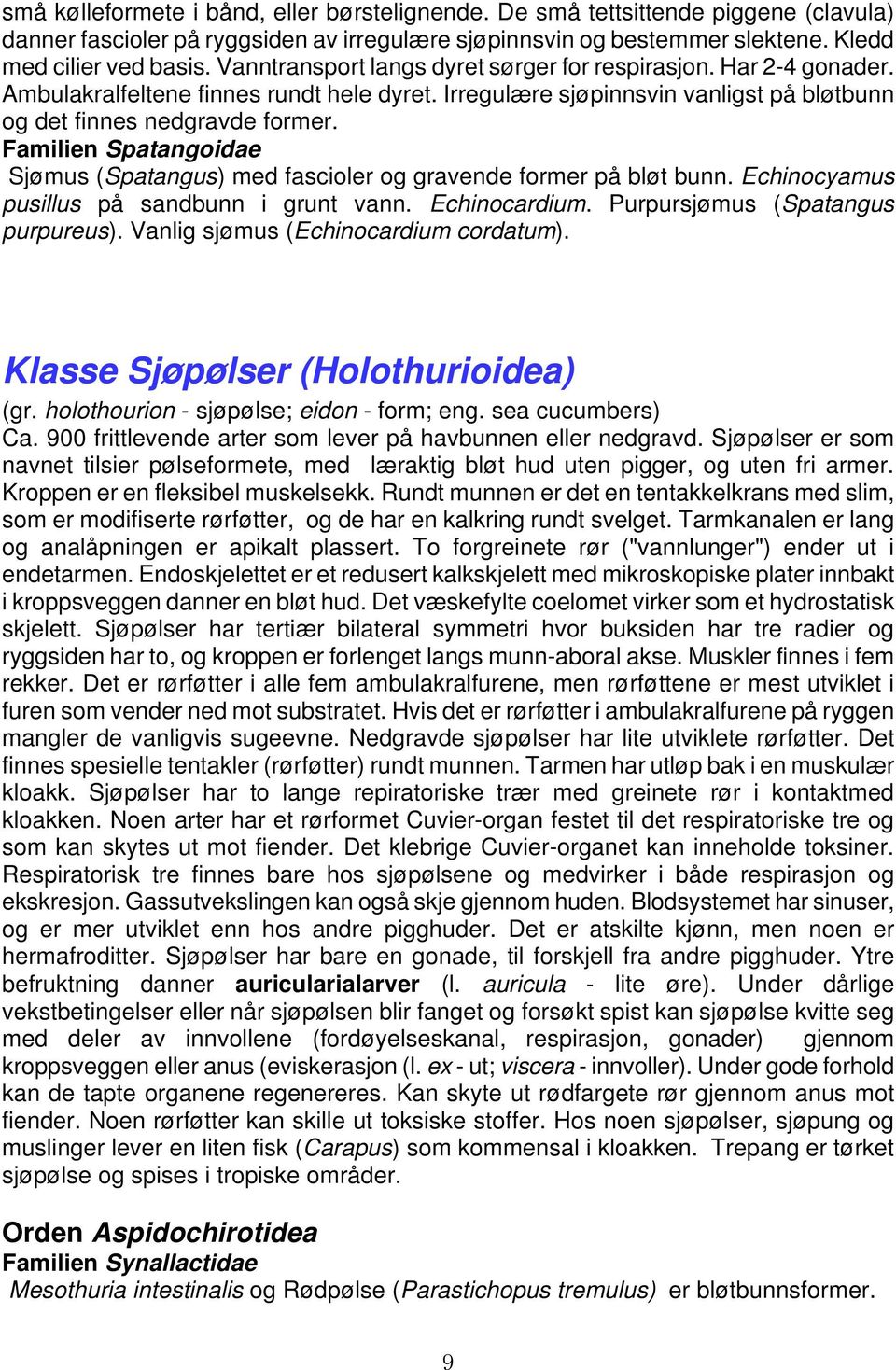 Familien Spatangoidae Sjømus (Spatangus) med fascioler og gravende former på bløt bunn. Echinocyamus pusillus på sandbunn i grunt vann. Echinocardium. Purpursjømus (Spatangus purpureus).