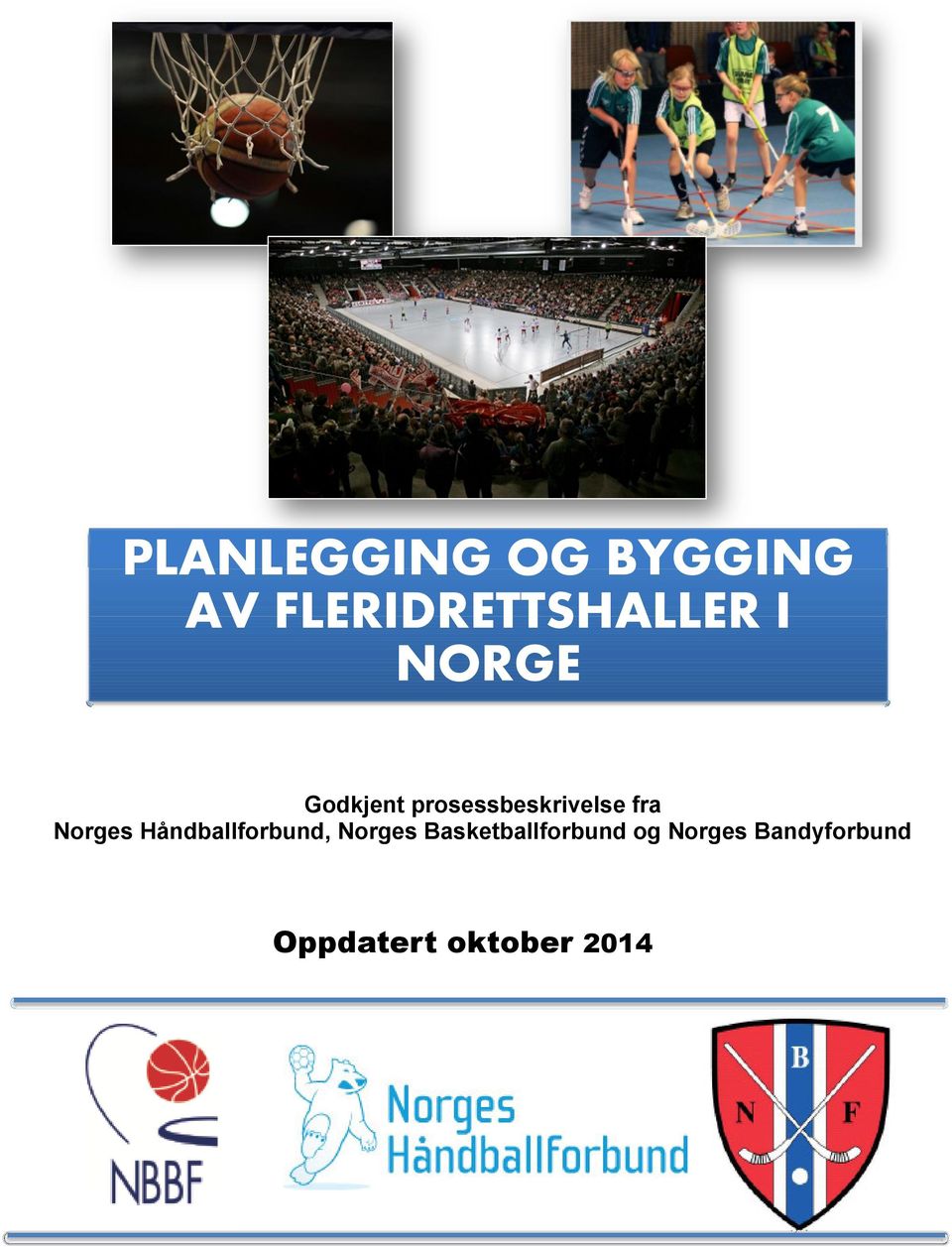 Norges Håndballforbund, Norges