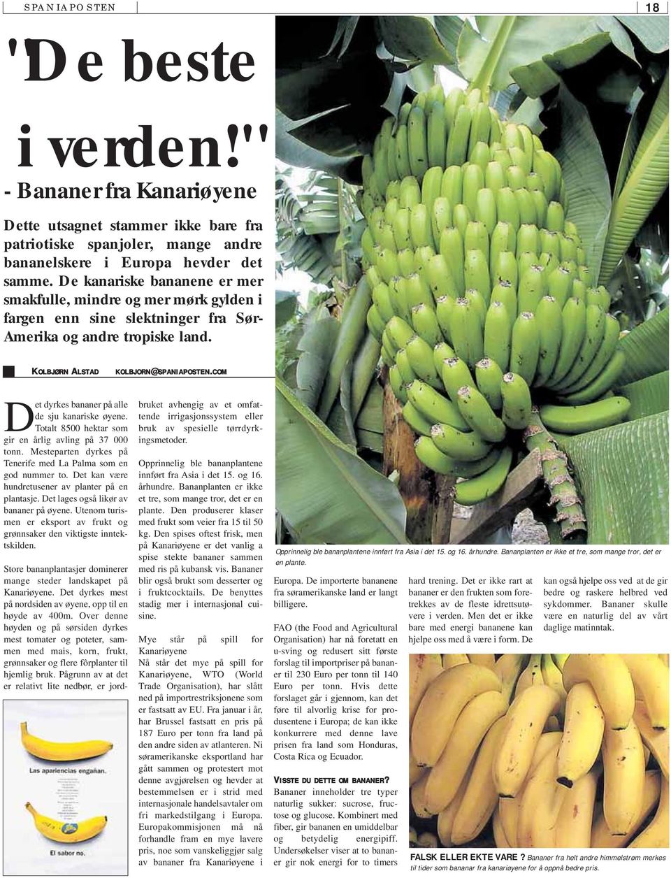 COM Det dyrkes bananer på alle de sju kanariske øyene. Totalt 8500 hektar som gir en årlig avling på 37 000 tonn. Mesteparten dyrkes på Tenerife med La Palma som en god nummer to.