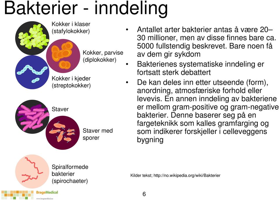 Bare noen få av dem gir sykdom Bakterienes systematiske inndeling er fortsatt sterk debattert De kan deles inn etter utseende (form), anordning, atmosfæriske forhold eller levevis.