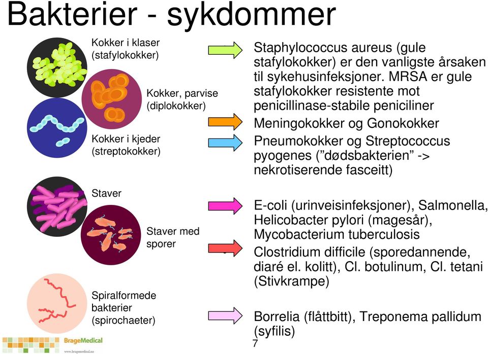 MRSA er gule stafylokokker resistente mot penicillinase-stabile peniciliner Meningokokker og Gonokokker Pneumokokker og Streptococcus pyogenes ( dødsbakterien -> nekrotiserende